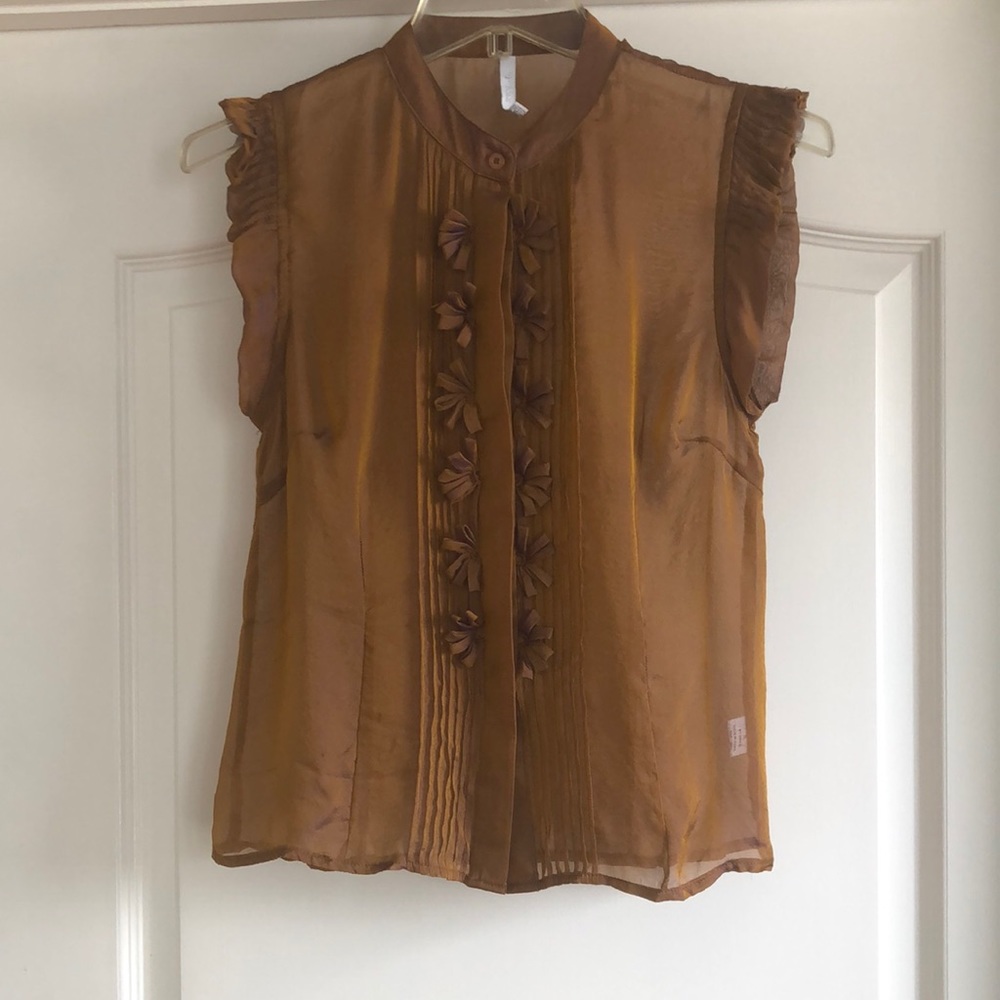 Anthropology BIZZ Sheer Silk Blouse /Size Small
